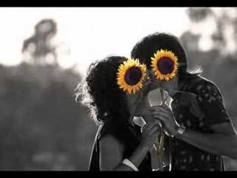 Ligabue - Quella che non sei
