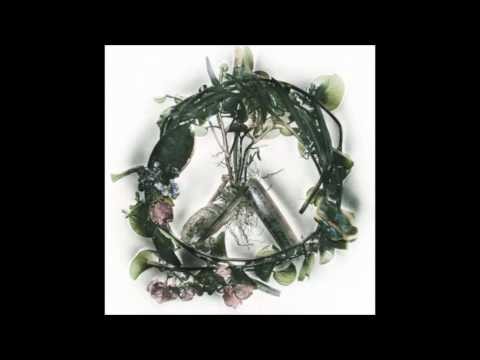 Wise Blood - Fantasize (Intro)