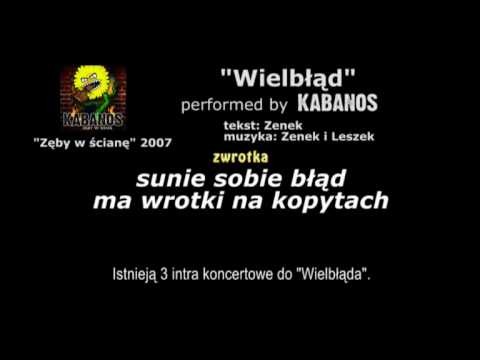Wielb??d