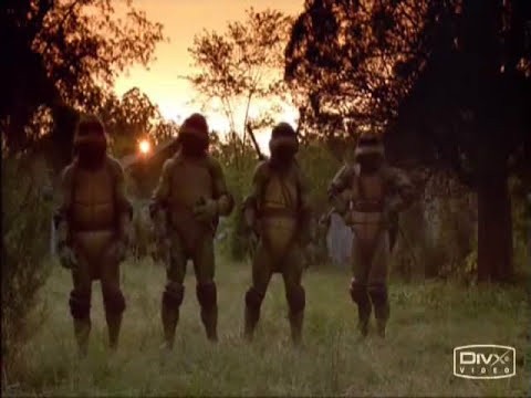 Turtle Power