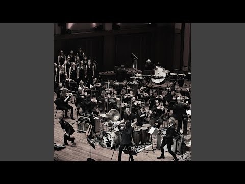 I Don't Know Anything - Live At The Moore