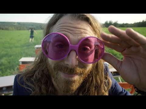Stay In Bed And F*** (while The World Burns)