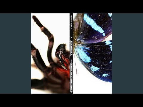 Tarantula