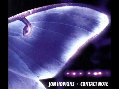 Luna Moth