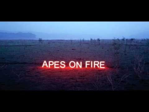 Apes On Fire