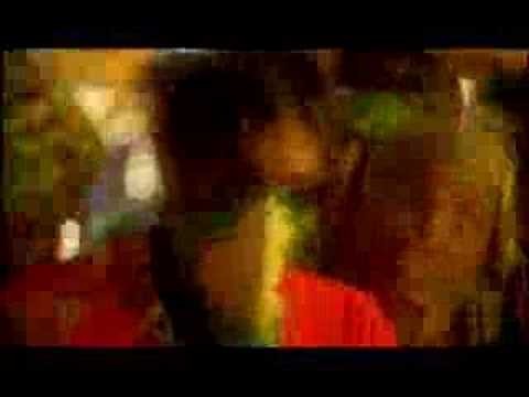 M.i.a. - Bird Flu