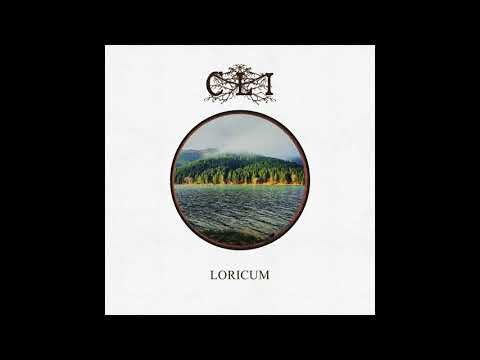 Loricum