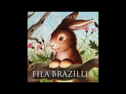 Apehorn Concerto