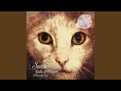 Imprint Of Pleasure (original Mix)