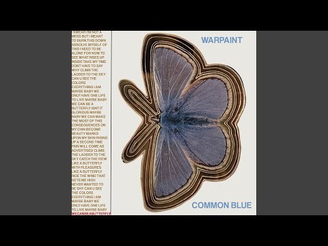 Common Blue