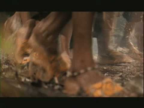 M.i.a. - Sunshowers
