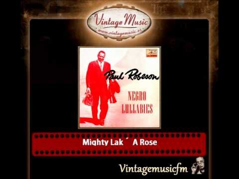 Mighty Lak' A Rose