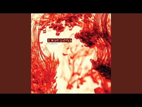 One Day All This Could Be Yours - Remastered