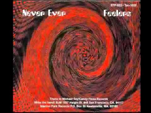 Feelers