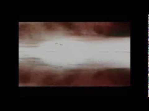 Koop - Absolute Space