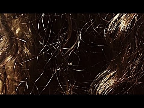Hair