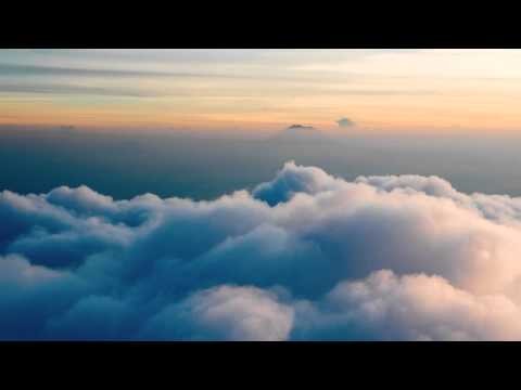 Lizzie Curious - We Fly