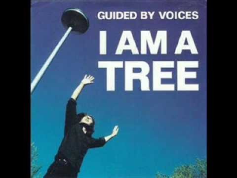 I Am A Tree