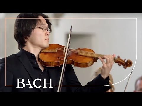 Siciliano (after "erbarme Dich" From Matthäus-passion, Bwv 244, No. 39)