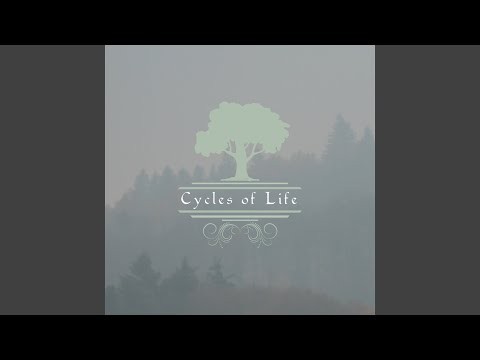Cycles Of Life