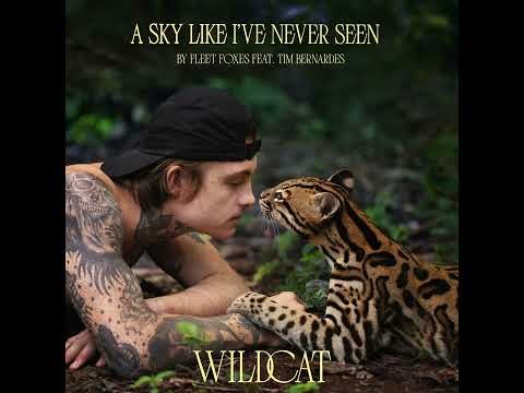 A Sky Like I've Never Seen (feat. Tim Bernardes)