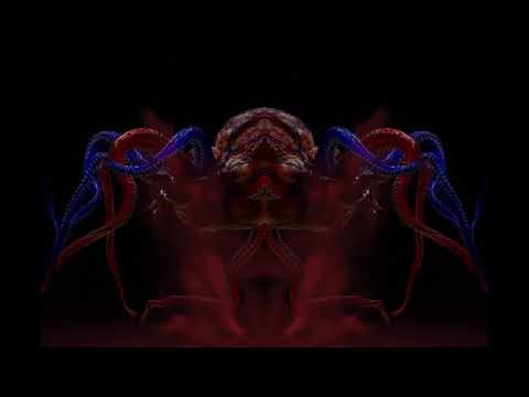 The Contrarian