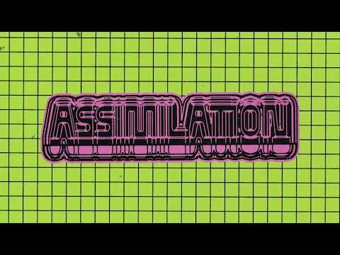 Assimilation