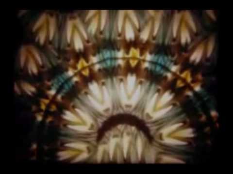 Should Have Taken Acid With You (body Language Remix)