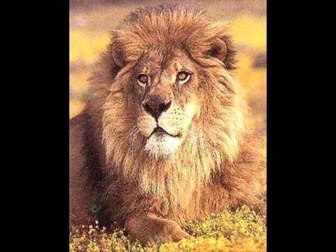 Beautiful (lenny's Sunset Mix)
