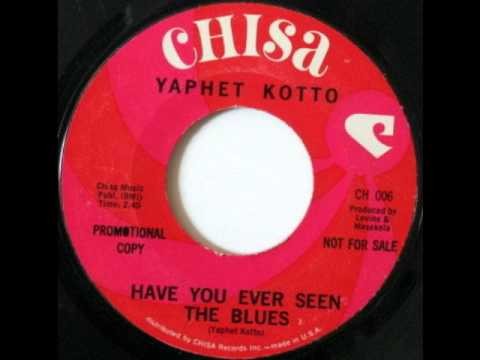 Have You Ever Seen The Blues