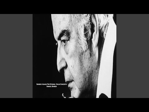 Violin Concerto, Op. 14: I. Allegro