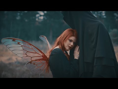 Cicada