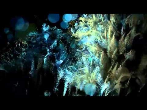 Solar Fields - Confusion Illusion