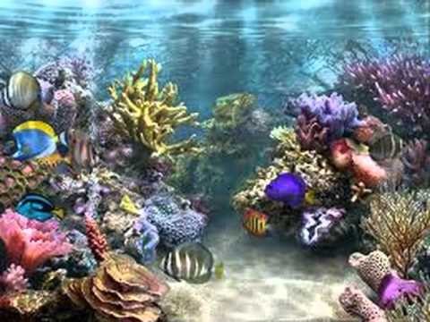 Le Carnaval Des Animaux: Aquarium