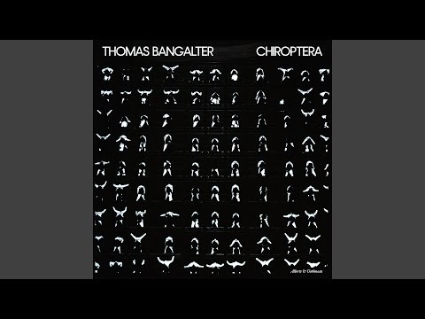 Chiroptera