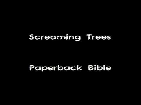 Paperback Bible