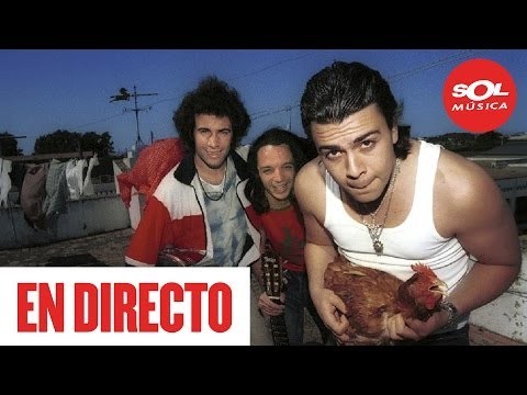 Gato Callejero