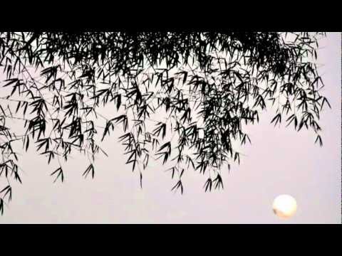 Peter Herbolzheimer - Lean Baby