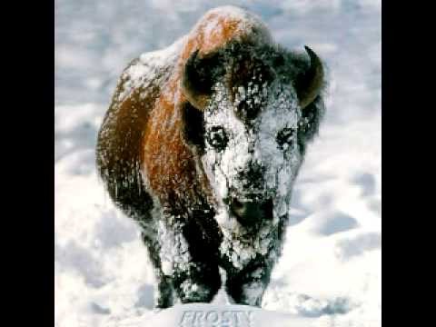 Fuzz