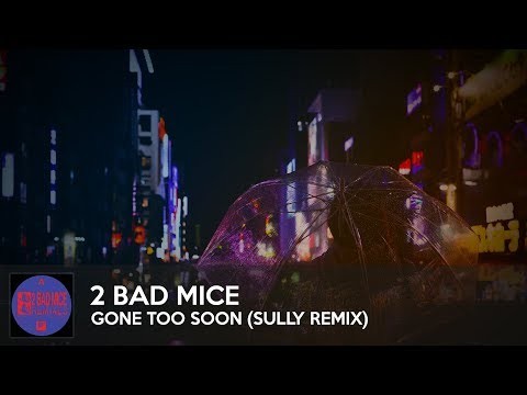 Gone Too Soon (sully Remix)