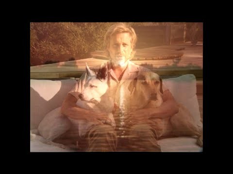 Wind Of Change (feat. Brandon Boyd Of Incubus &amp; Portugal. The Man)