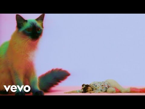 Animal