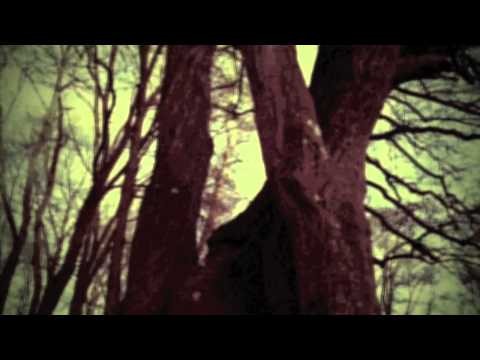 Black Sun