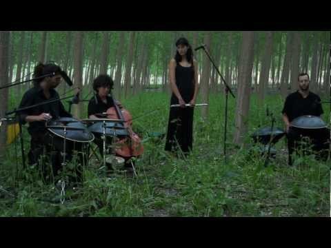 Cajita De Música