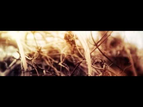 Tom Thiel - Pulse
