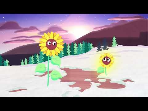 Here Comes The Sun