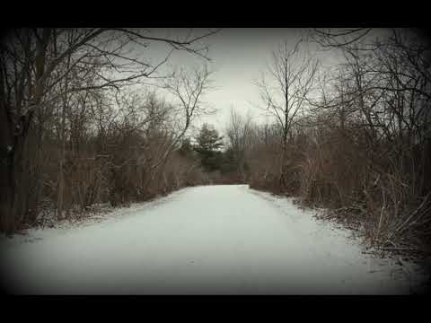 Driving Home For Christmas - 2009 Remastered Version