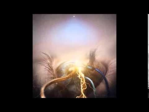 Architects Hallucinate
