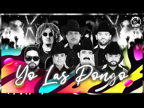 Yo Las Pongo