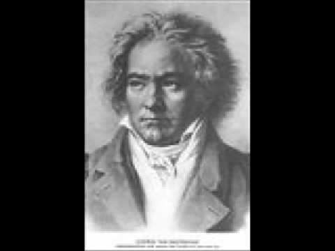 Ludwig Van Beethoven - Allegro Con Brio